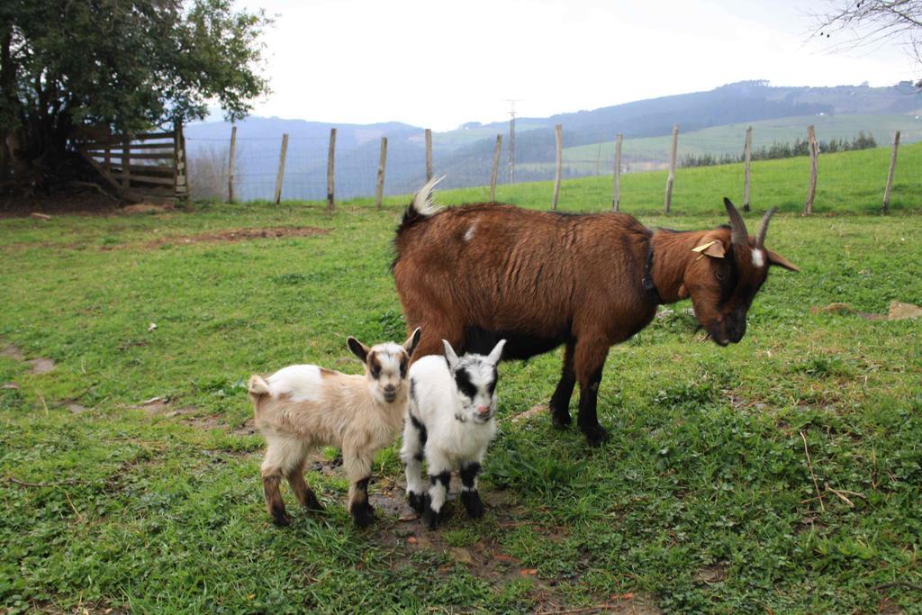 بيرميو Casa Rural Ecologica Arrizurieta المظهر الخارجي الصورة