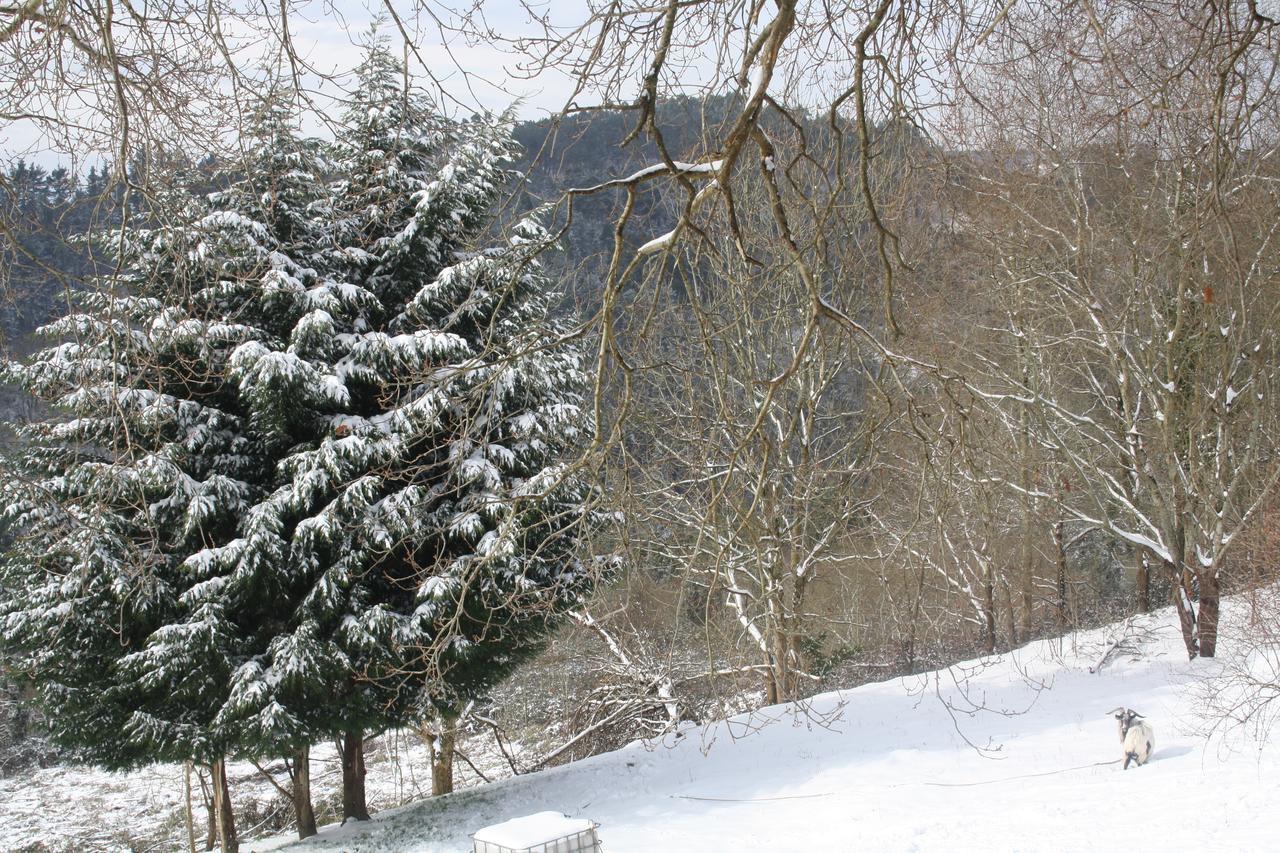 بيرميو Casa Rural Ecologica Arrizurieta المظهر الخارجي الصورة